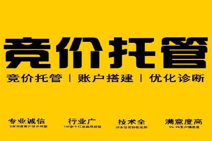 行业领先企业如何运用SEM运营推广